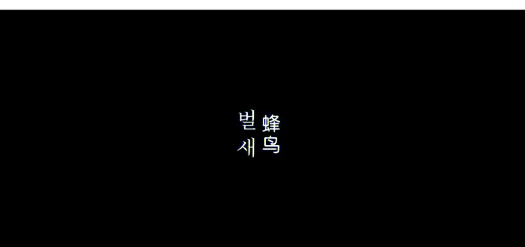 蜂鸟影院在线观看 - 最新电影免费播放平台与高清影视资源推荐