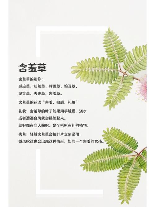 9420影院影视在线观看 - 最新热门电影电视剧免费追剧平台推荐