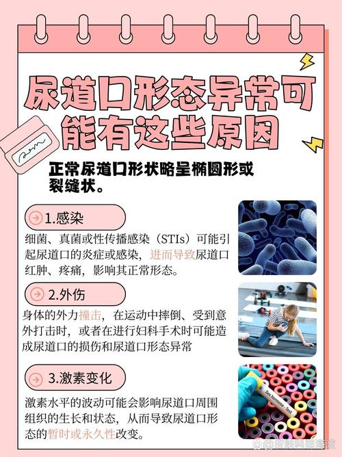 老女人黄色录像片的相关介绍