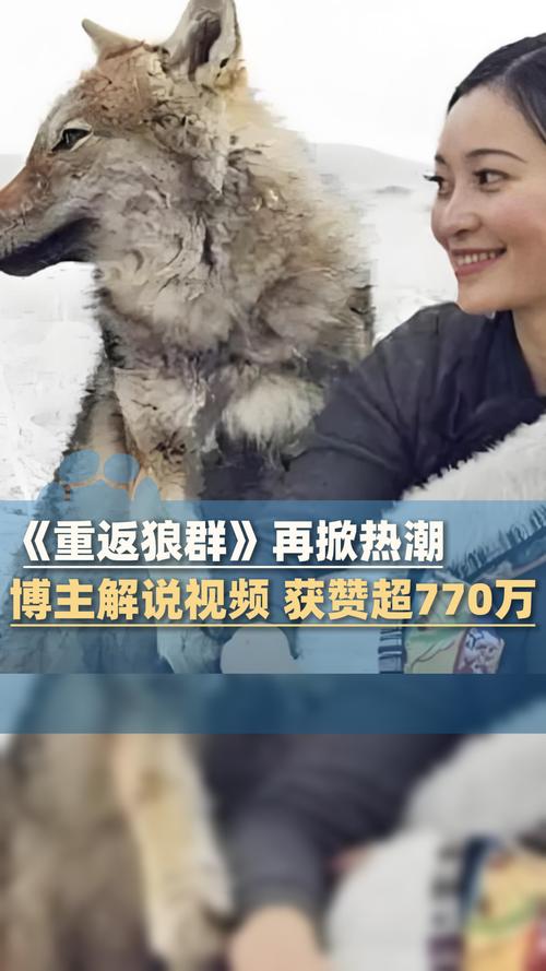 久久av一的相关介绍
