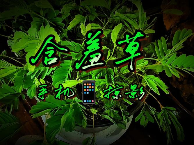 97影院秋霞在线观看 - 最新高清影视资源免费追剧平台