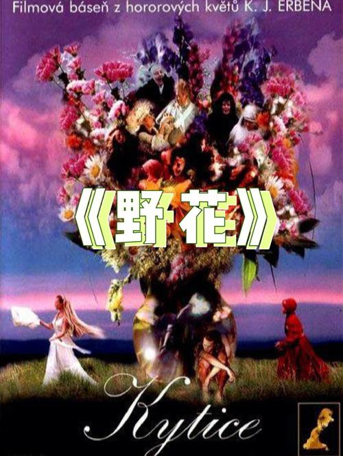 老湿影院VIP18永久免费观看教程，解锁全网高清资源（会员特权/最新片库/无广告体验）