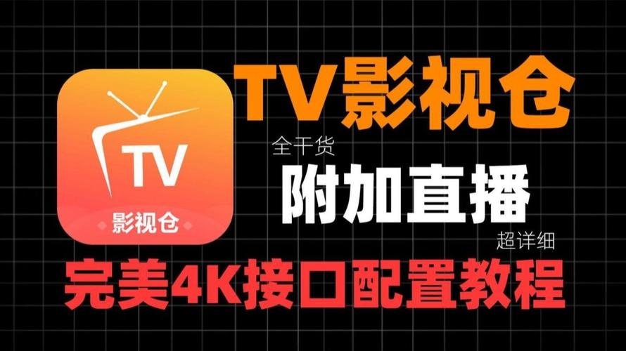 《北方影院天下美人》剧情解析：天下第一美人争夺战背后的权谋与爱恨