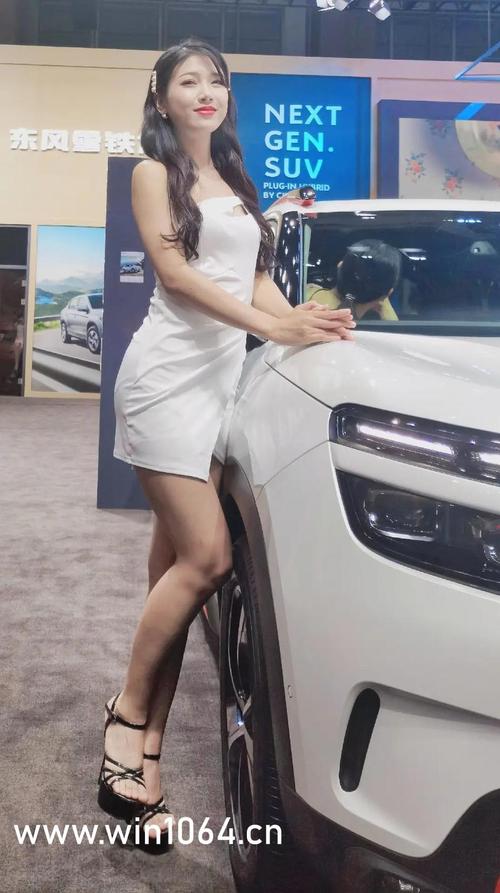 少妇人妻小军诗雨武蓉的相关介绍