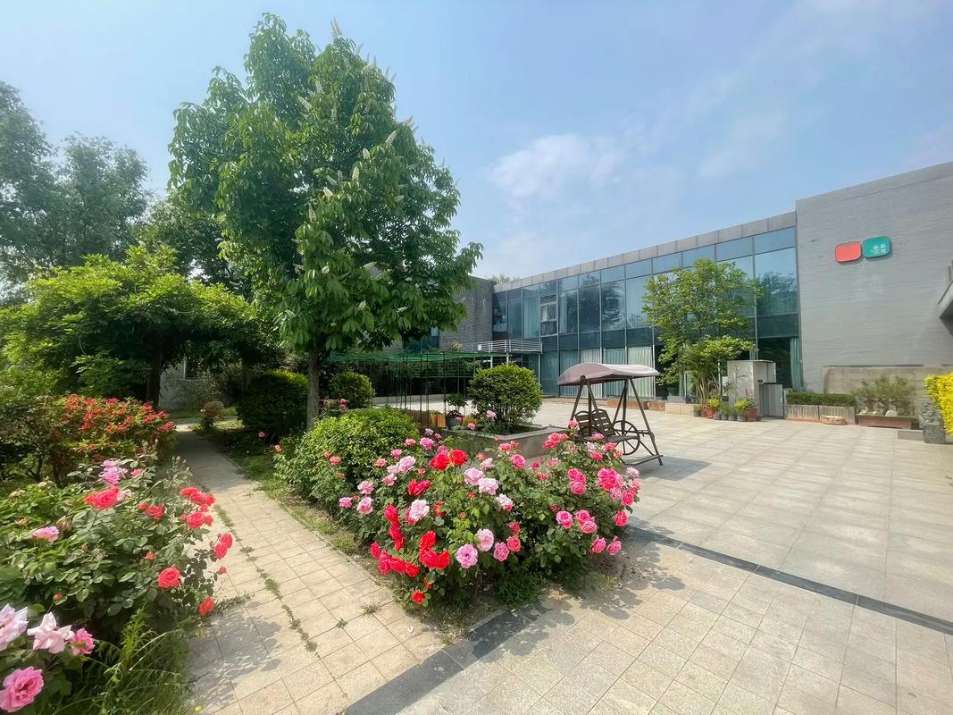 东京精油按摩影院推荐 | 东京影院式精油SPA、日式按摩影院体验、东京高端精油按摩会所