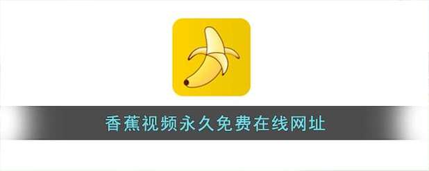 老师被我操爽了的相关介绍