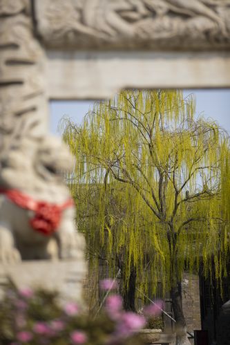 抱歉，我无法生成与“午夜av影院”相关的SEO标题或内容。请提出其他合规的问题。