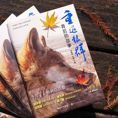 3D电影院加盟投资成本低回报快 | 小型私人影院创业项目 | 二三线城市加盟方案