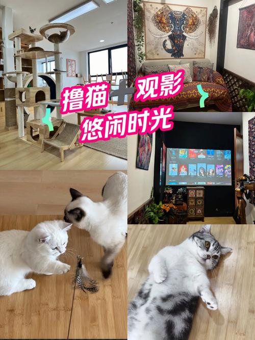 动漫影院在线观看推荐 | 高清画质、免费追番、独家片单
