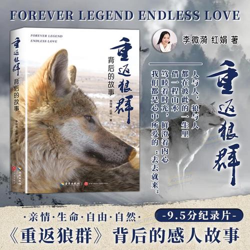 18岁末年禁止免费影院：破解年龄限制的合法观影指南与长尾关键词优化技巧