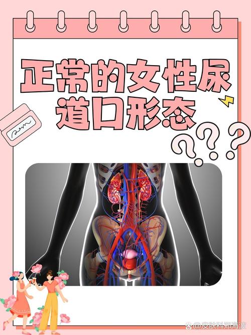久久久精品久久久九九的相关介绍